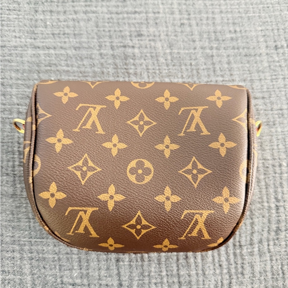 Louis Vuitton Mini Bum Bag (No straps) - Picture 2 of 6